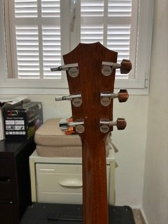 Taylor 310CE ElectroAcustica + Funda Rigida