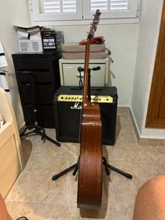 Taylor 310CE ElectroAcustica + Funda Rigida
