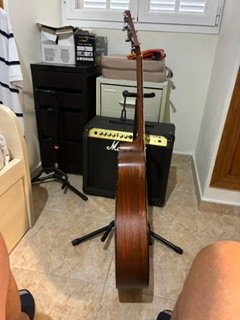 Taylor 310CE ElectroAcustica + Funda Rigida