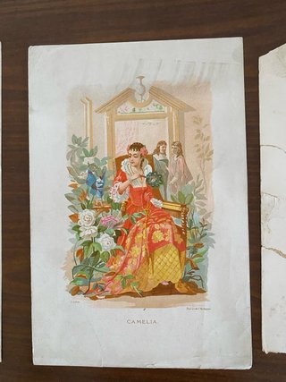 Litografías antiguas decorativas
