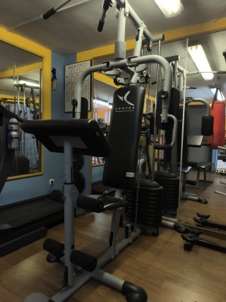 Máquina de Musculación Domyos HG 050