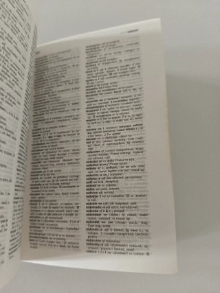 Diccionario Mini Espanol-Ingles - English-Spanish
