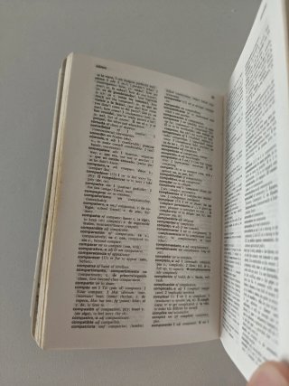 Diccionario Mini Espanol-Ingles - English-Spanish