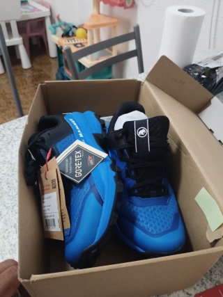 Zapatillas Mammut Girun II Low GTX Talla 40.5