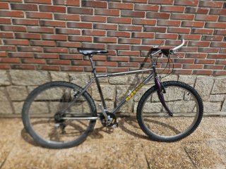 Bicicleta MTB Quasar Cromada