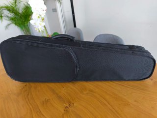 Violín Corina Quartetto 4/4 Minja