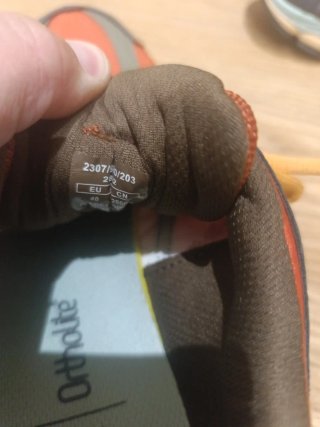 Tenis Zara Azul y Rojo