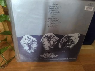 Vinilo The Police - Reggatta de Blanc