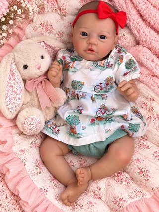 Bebés Reborn Gemelas, Juntas o separadas