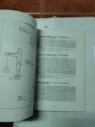 Culturismo básico