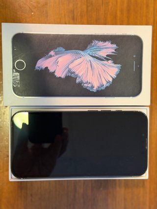 iPhone 6S Grigio Siderale