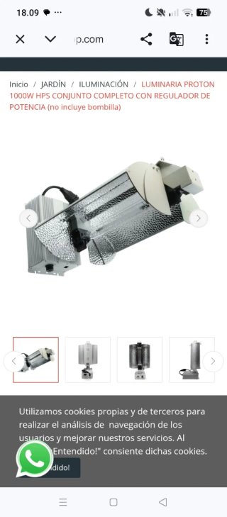 Proyector PROTON 1000W HPS/MH