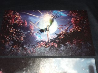 🇪🇸Wuchang: Fallen Feathers Postales Físicas PS5