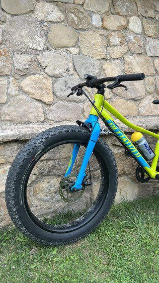 Specialized Fatboy 24”