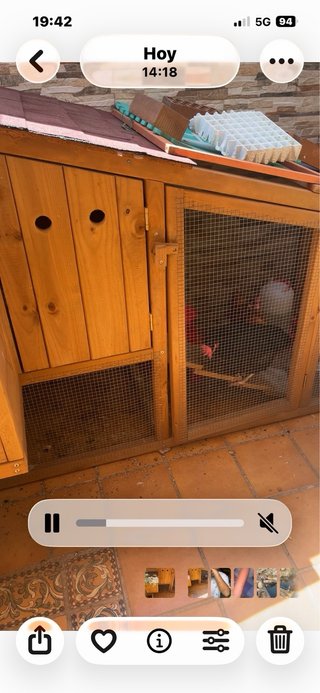 Gallinero hecho a mano para 6 gallinas ,