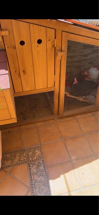 Gallinero hecho a mano para 6 gallinas ,