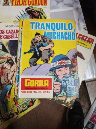 Comics ficción y lucha, juvenil