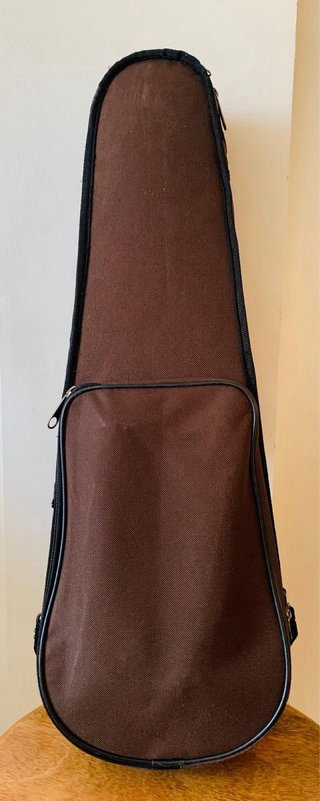 Violín clásico madera barnizada niños