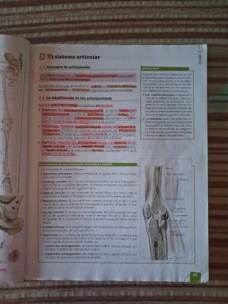Anatomía aplicada Bachillerato 1