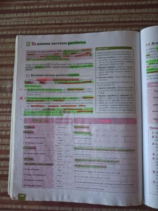Anatomía aplicada Bachillerato 1