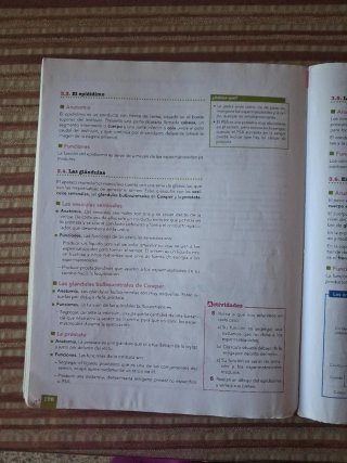 Anatomía aplicada Bachillerato 1