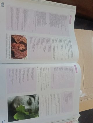 Cultura clásica,Este, ESO, Secundaria