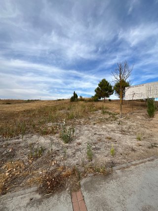 Parcela urbana en venta en Renedo de Esgueva