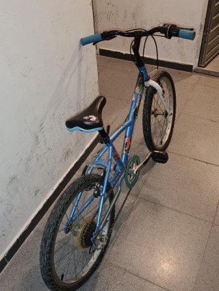 Bicicleta infantil 20 pulgadas