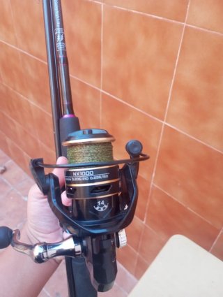 Caña de pescar Rock Fishing