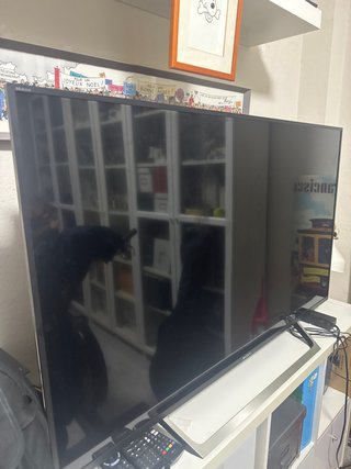 Televisor Sony KDL49' Negro