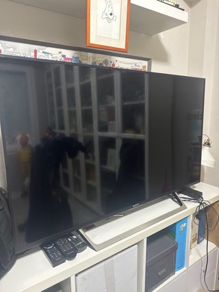 Televisor Sony KDL49' Negro