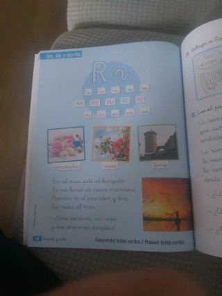 Lengua Castellana y Literatura 1, Educación Pri...