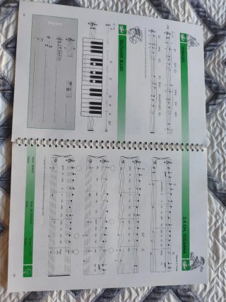 Teclado Casio SA-77 44 Teclas + FunKey 1