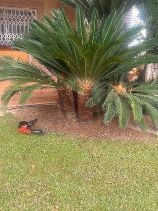 Jardinero