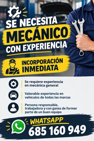 Se busca Mecánico Oficial de Primera