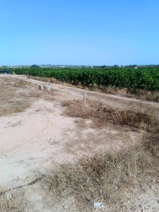 Terreno rustico en Riba Roja de Turia