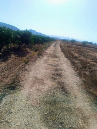 Terreno rustico en Riba Roja de Turia