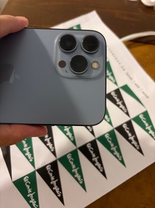 iPhone 13 Pro Max 256GB Gris/Plata