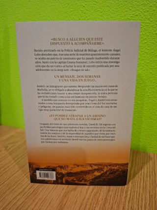 Novela negra Ciudad de sal-David B. Gil