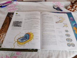 Biología y Geología, 4 ESO, Operación mundo