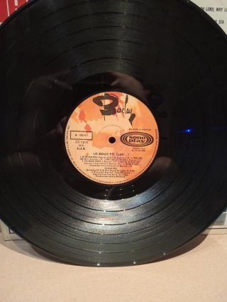 Vinilo LP Canarios y Pop-Tops: Lo mejor del clan