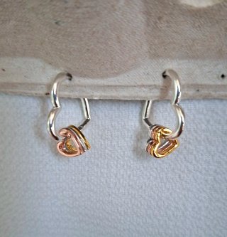 Pendientes de Plata.