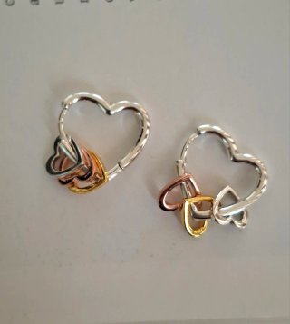 Pendientes de Plata.