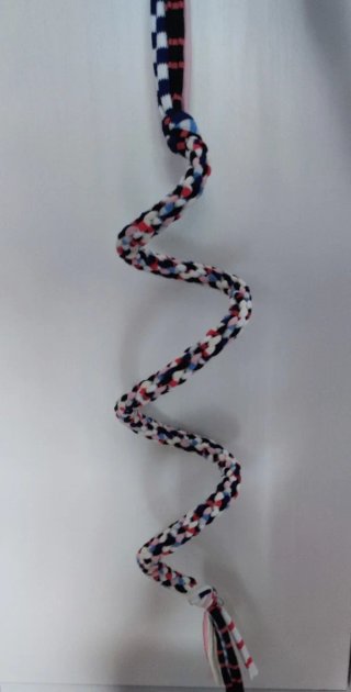 Espiral para pájaros (cotorras, pyrrhuras, loros)