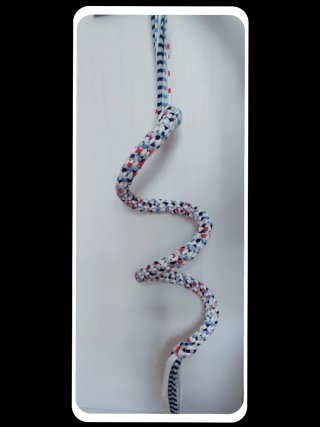 Espiral para guacamayos o otros