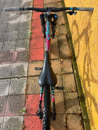 Bergamont Straitline 7.3 DH