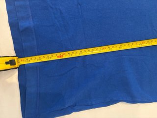 Polo Hollister Azul