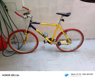 Bicicleta de montaña Giant clásica