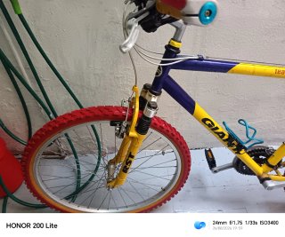 Bicicleta de montaña Giant clásica