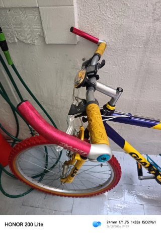 Bicicleta de montaña Giant clásica